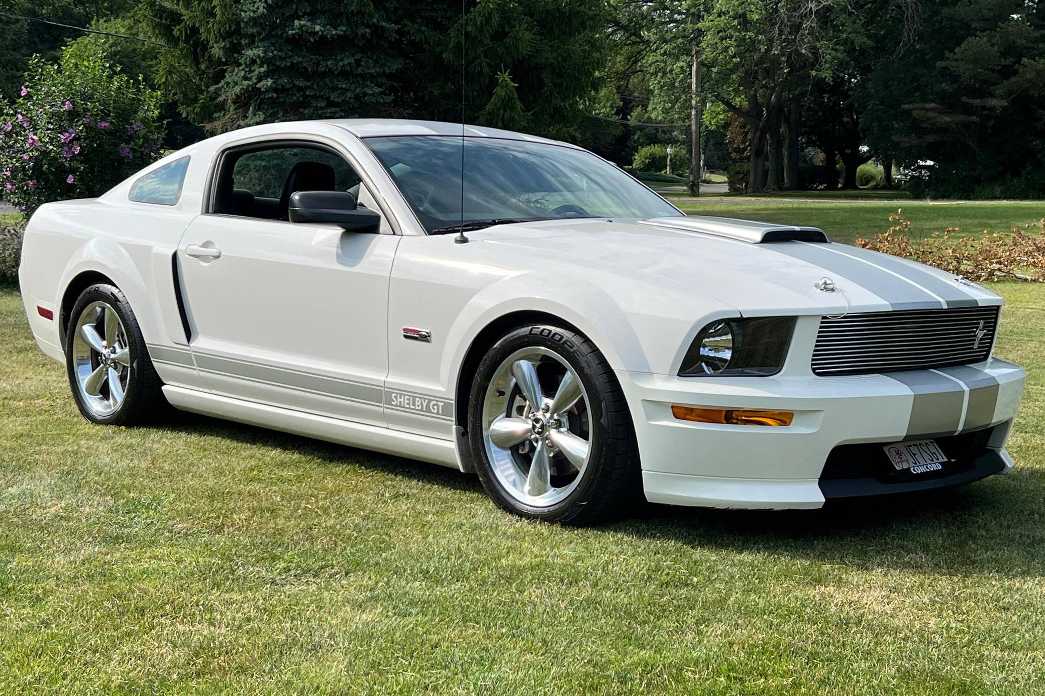 2007 Ford Mustang Shelby GT Coupe VIN: 1ZVHT82H675314757 for Sale 