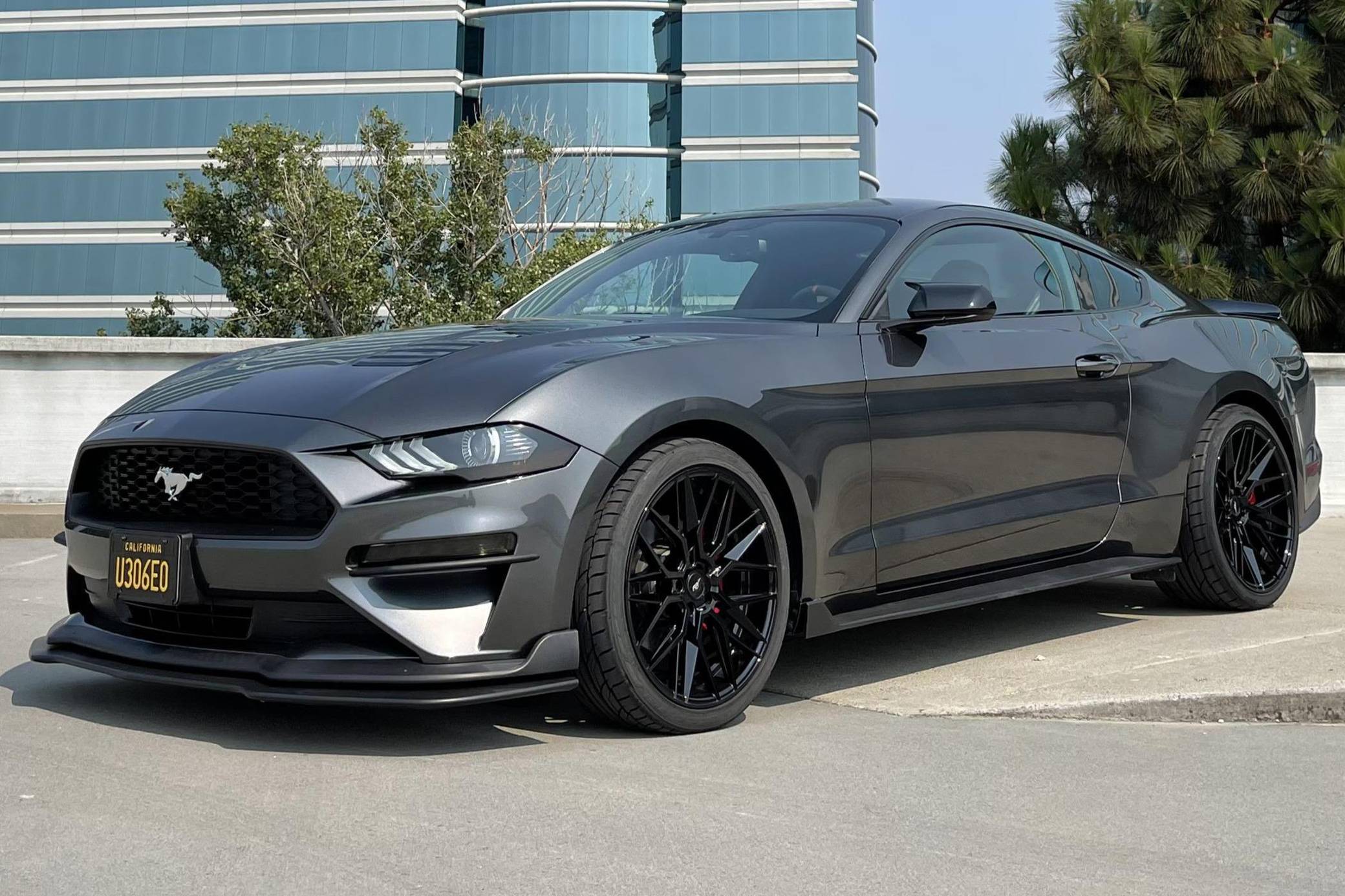 ★PHER★ MET sheared fur mustang 2019 Ford Mustang Coupe for Sale - Cars & Bids