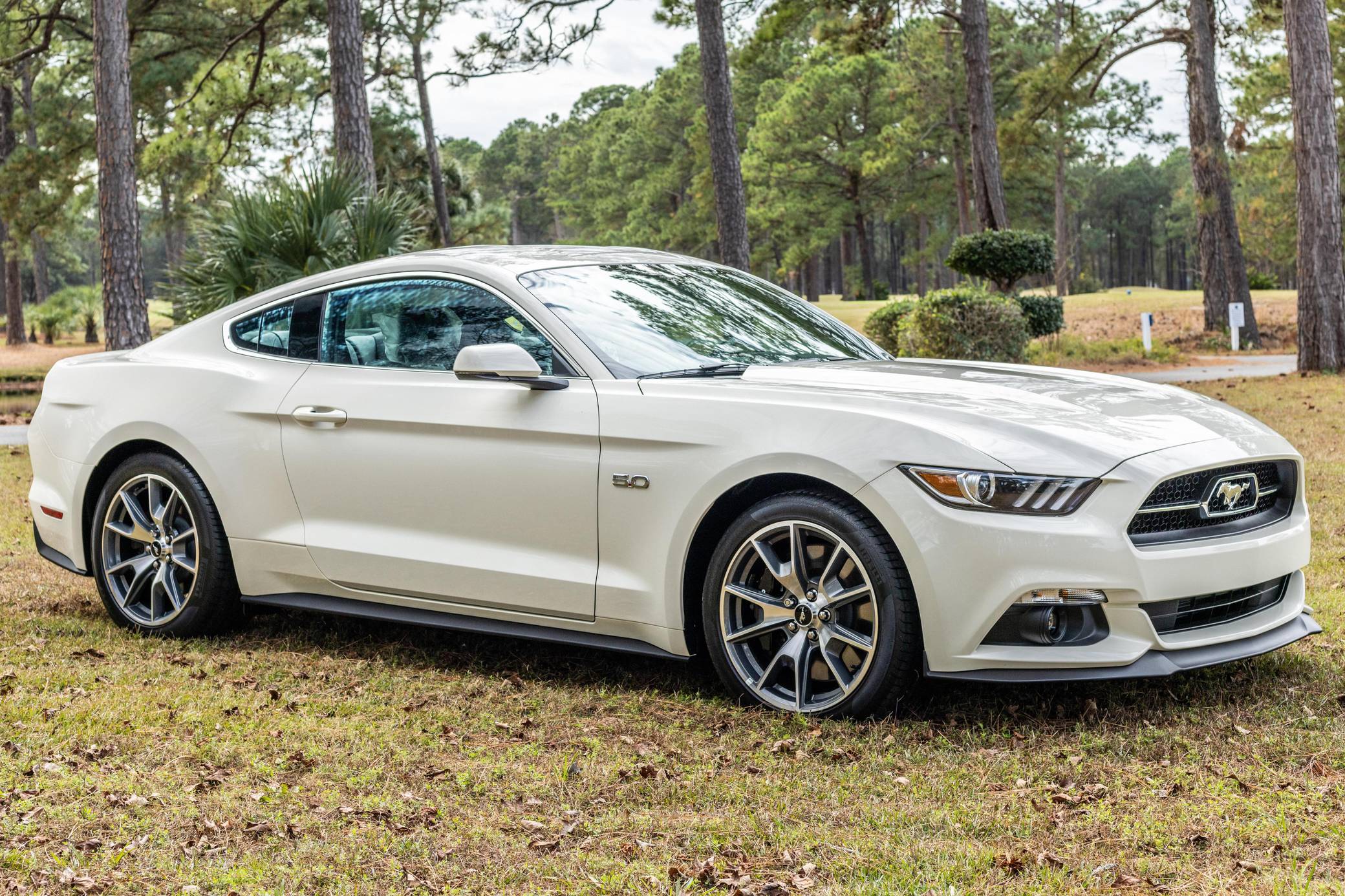 2015 Ford Mustang GT Coupe 50th Anniversary Edition For Sale - Cars & Bids