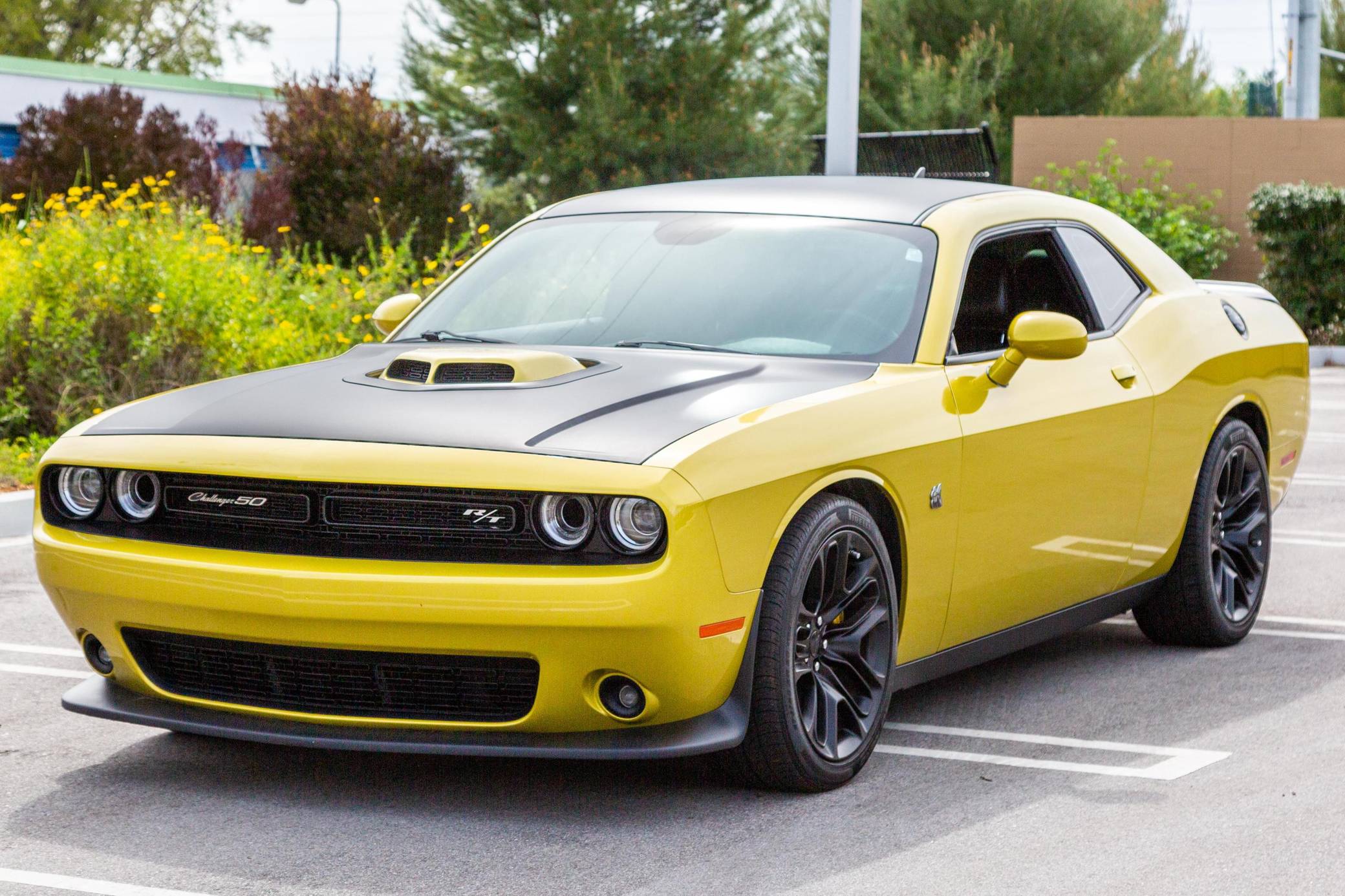 2020 Dodge Challenger R/T Scat Pack 50th Anniversary Edition for