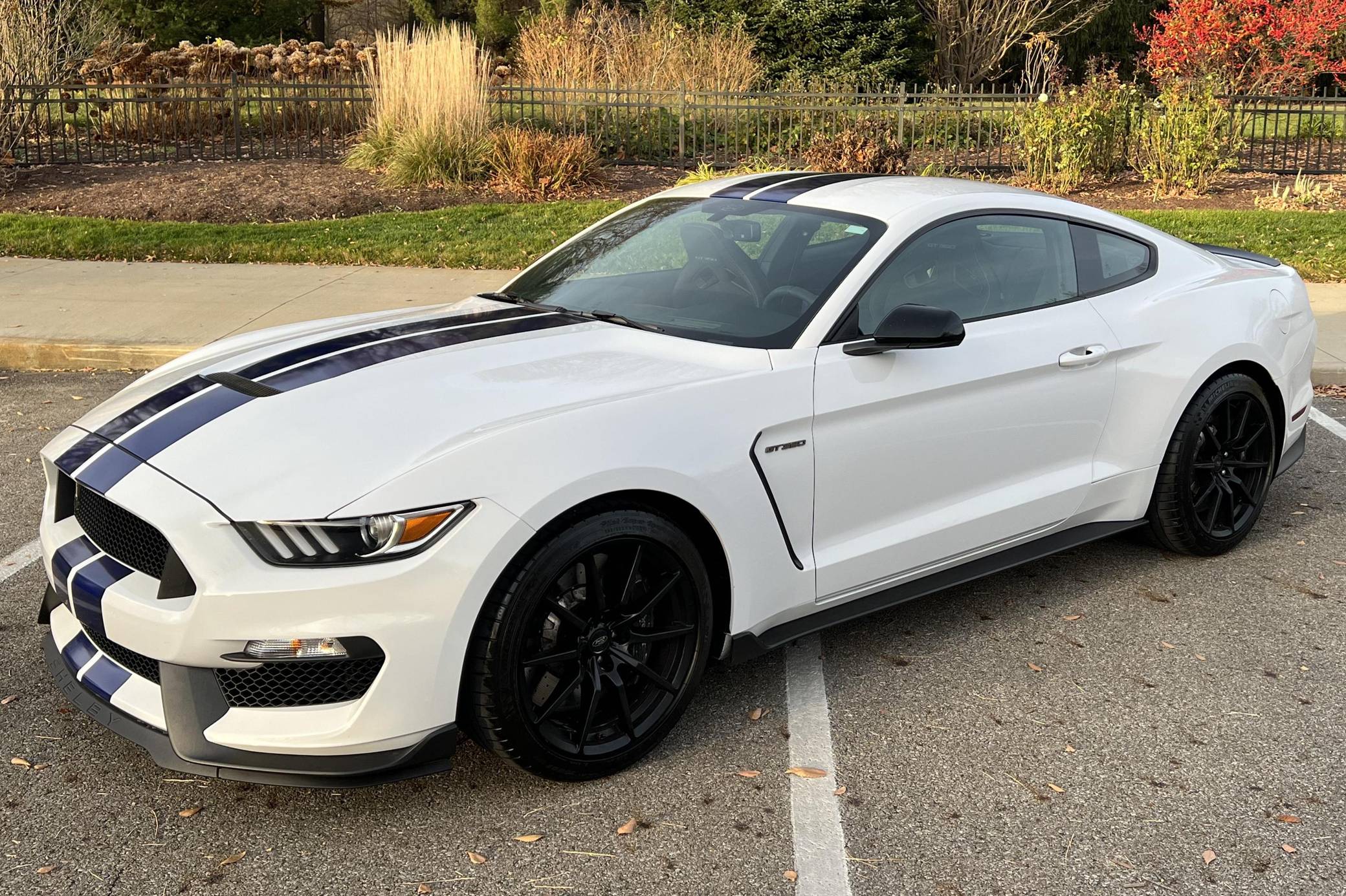 2016 Ford Mustang Shelby GT350 for Sale - Cars & Bids