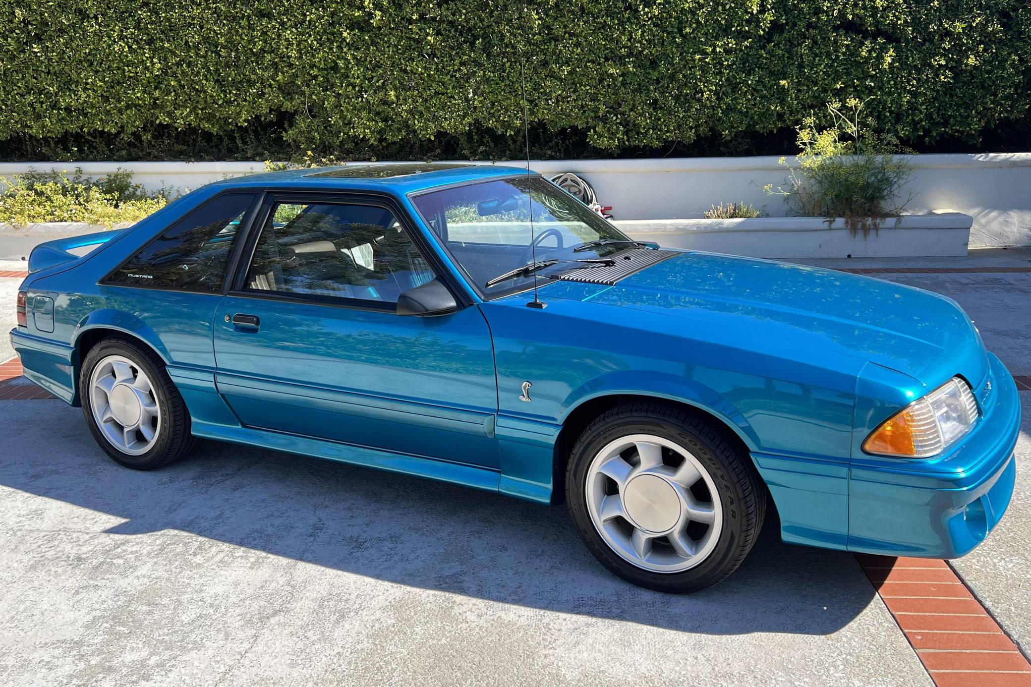 Mustang cobra store 1993 for sale