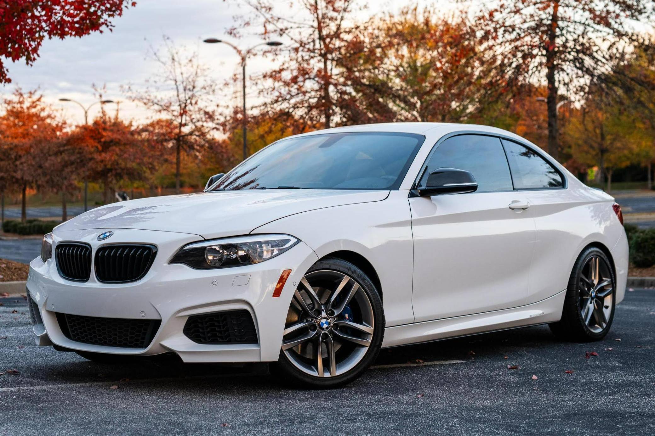 2017 BMW 230i Coupe