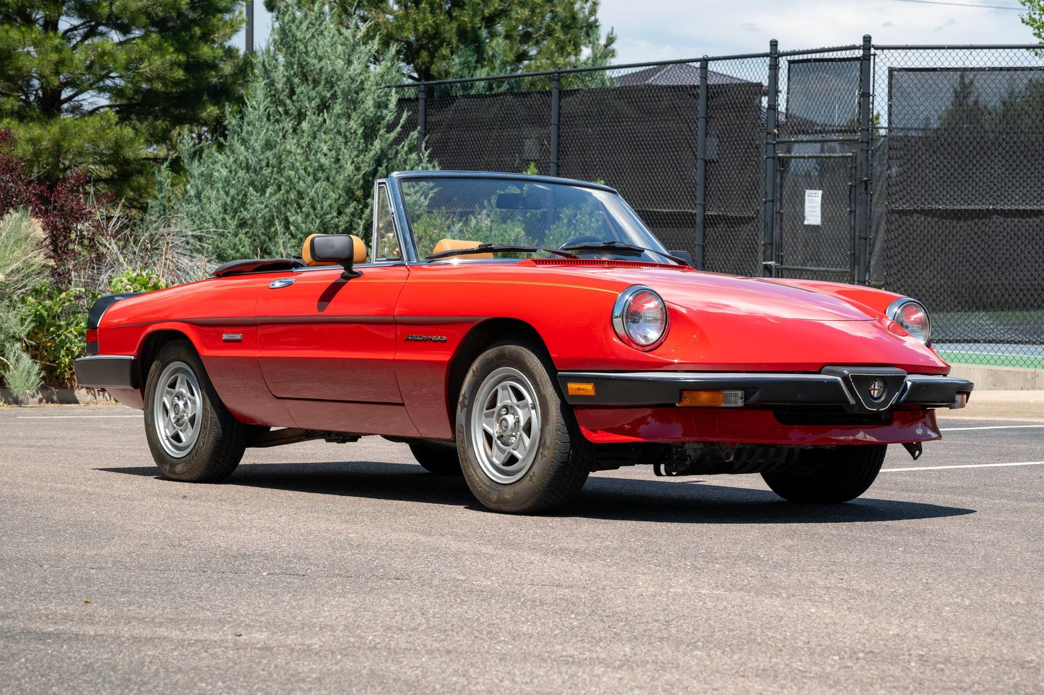 1986 Alfa Romeo Spider