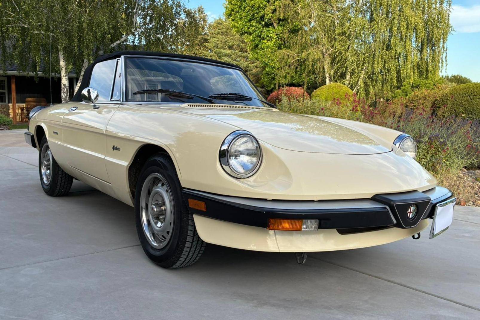 1987 Alfa Romeo Spider
