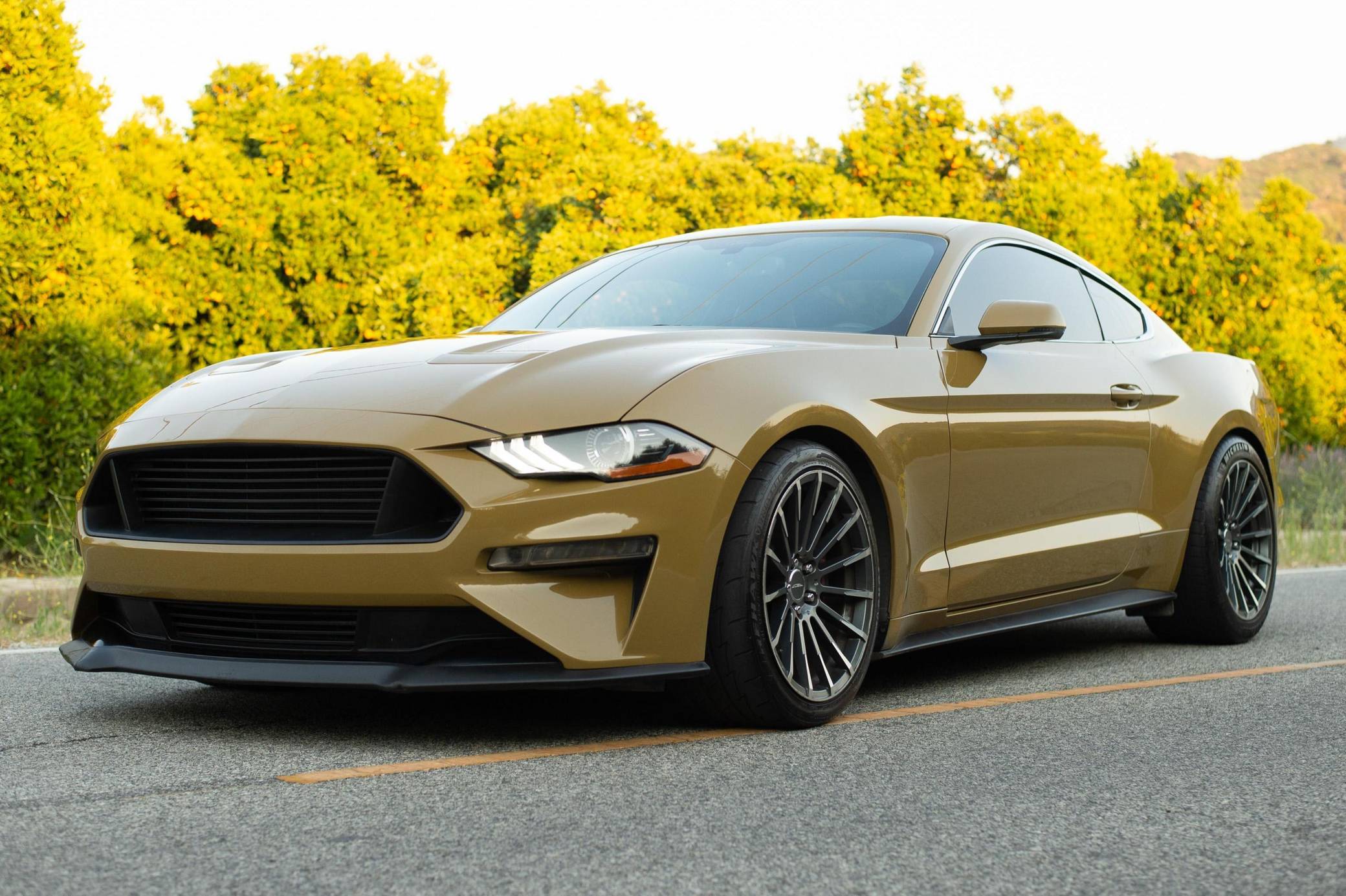 2018 Ford Mustang GT Coupe VIN: 1FA6P8CF8J5108736 for Sale - Cars 