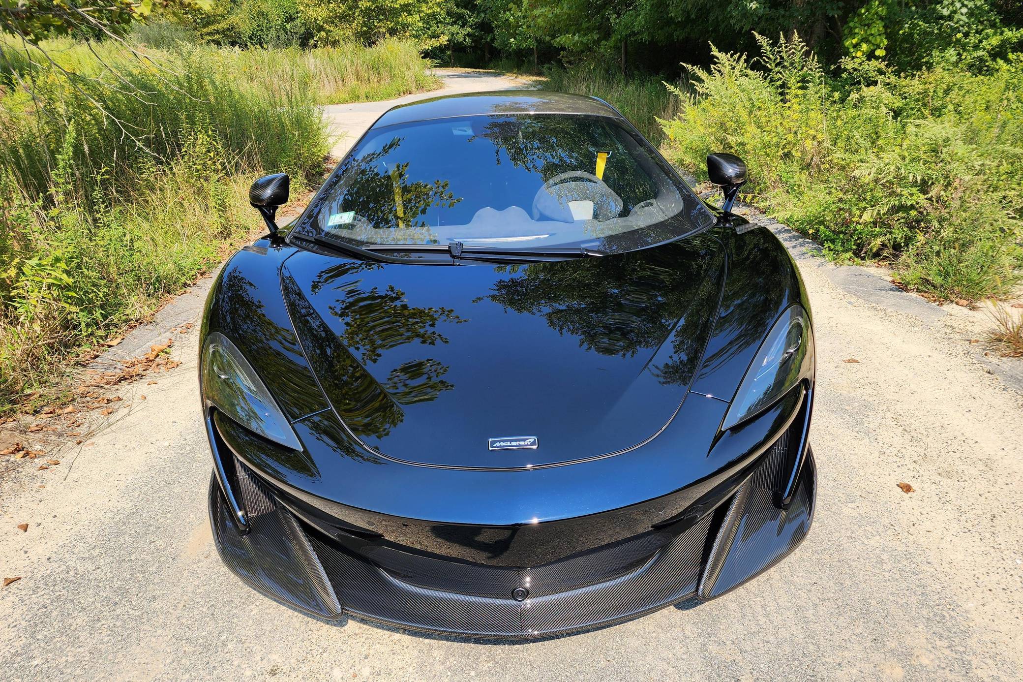 2019 McLaren 600LT photo 10