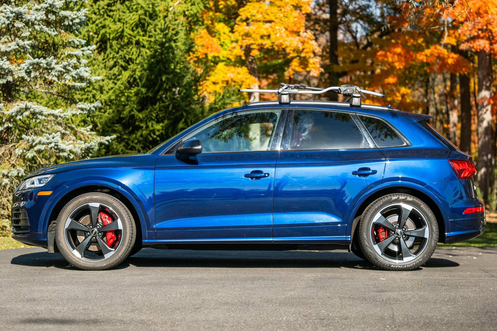 2019 Audi SQ5