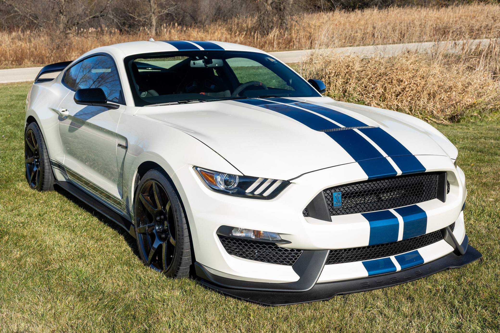 2020 Ford Mustang Shelby GT350R VIN: 1FA6P8JZ8L5552666 for Sale