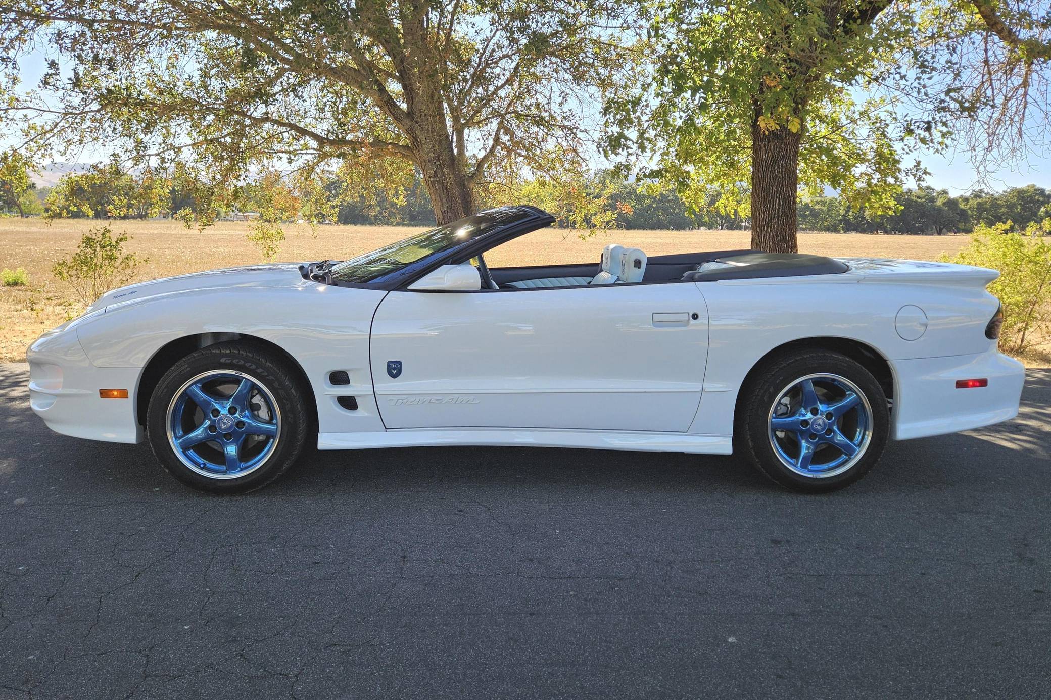 1999 Pontiac Firebird Trans Am WS6 30th Anniversary Edition Convertible