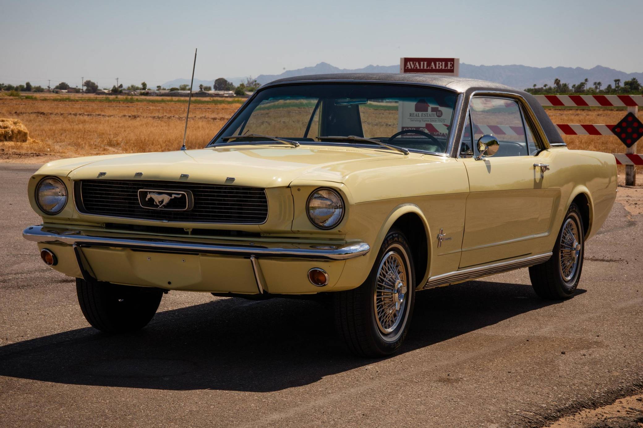 1966 Ford Mustang