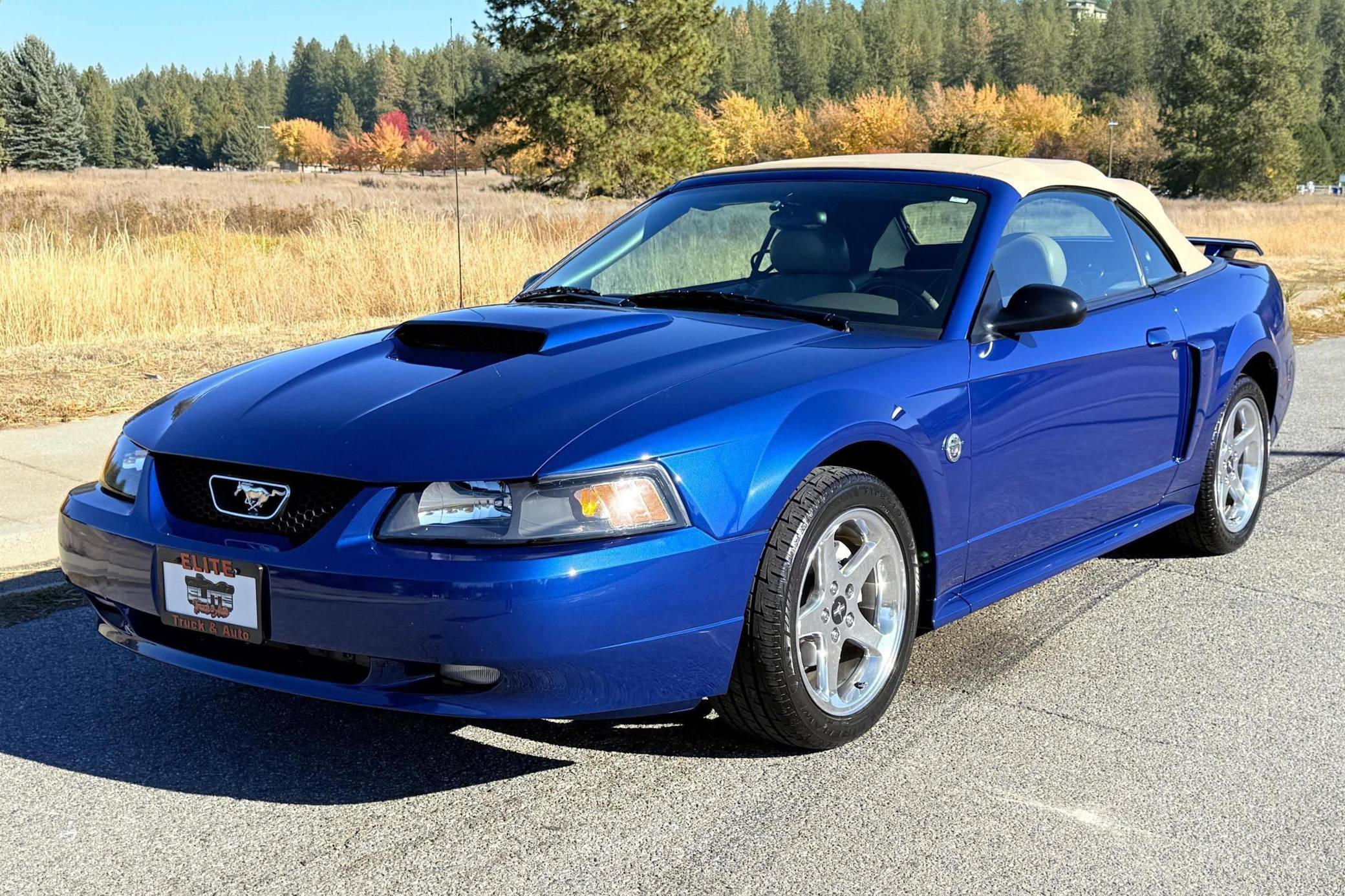 2004 Mustang Premium 2004 Ford Mustang GT R Concept Saleen