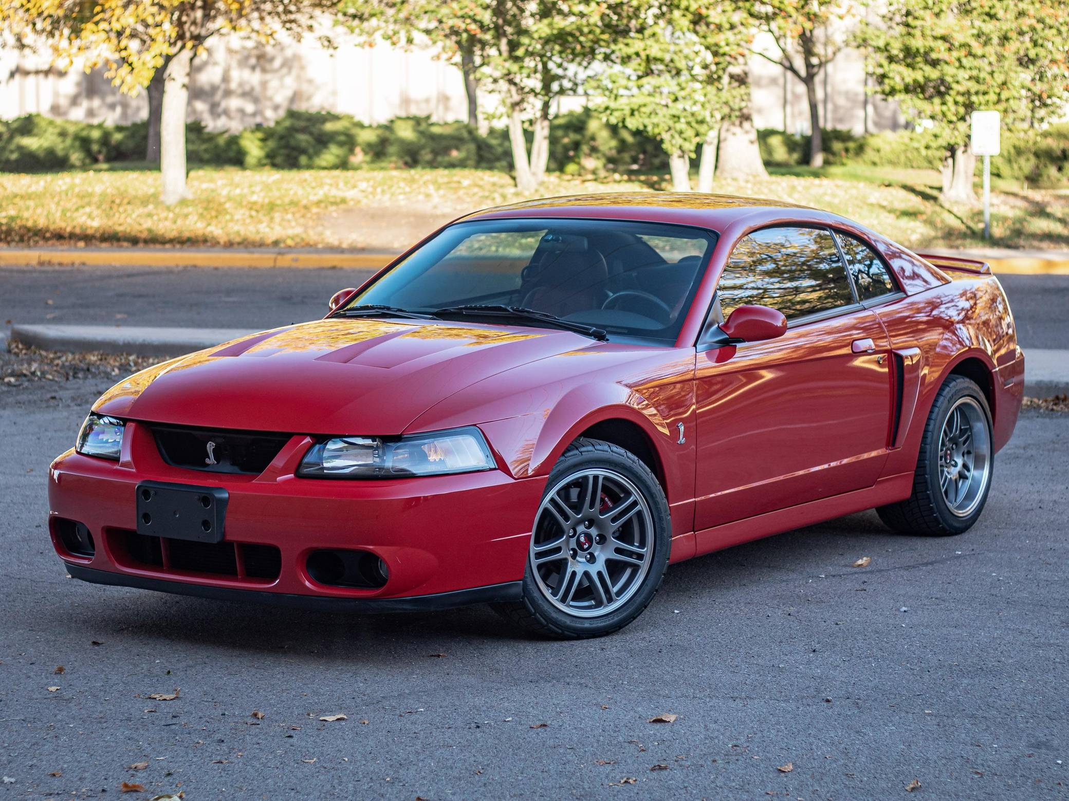 2003 Ford Mustang SVT Cobra Coupe