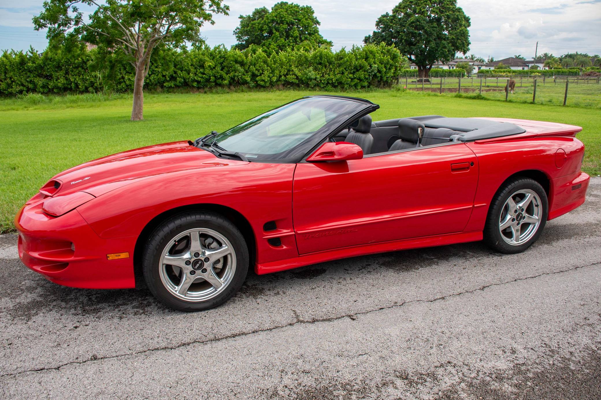 1999 Pontiac Firebird Trans Am WS6 Convertible VIN: 2G2FV32G0X2210876 ...