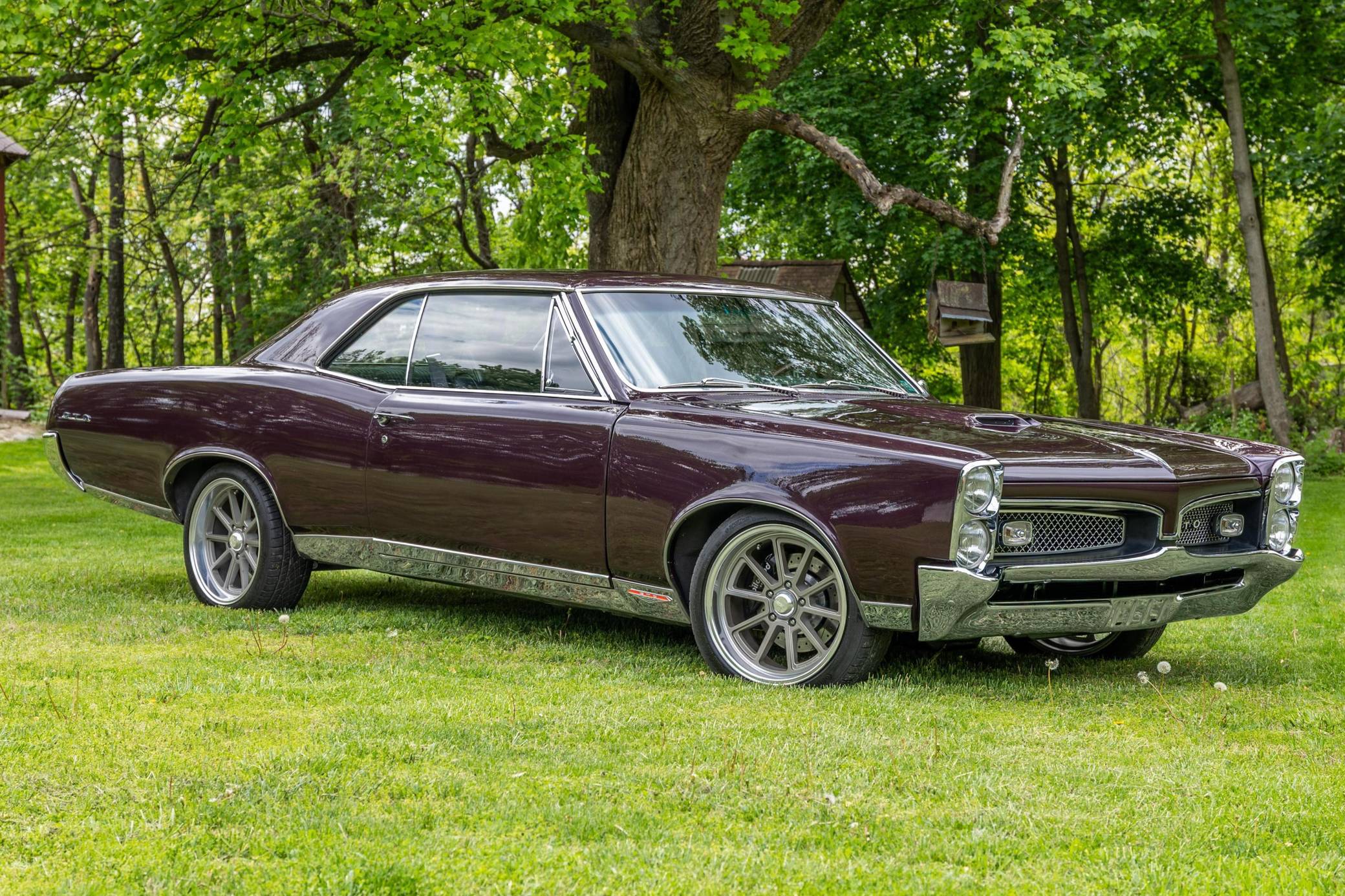 1967 Pontiac GTO