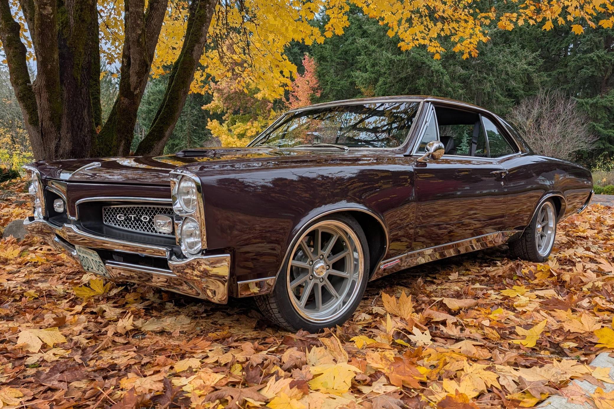1967 Pontiac GTO Hardtop Coupe VIN: 242177Z122403 for Sale - Cars
