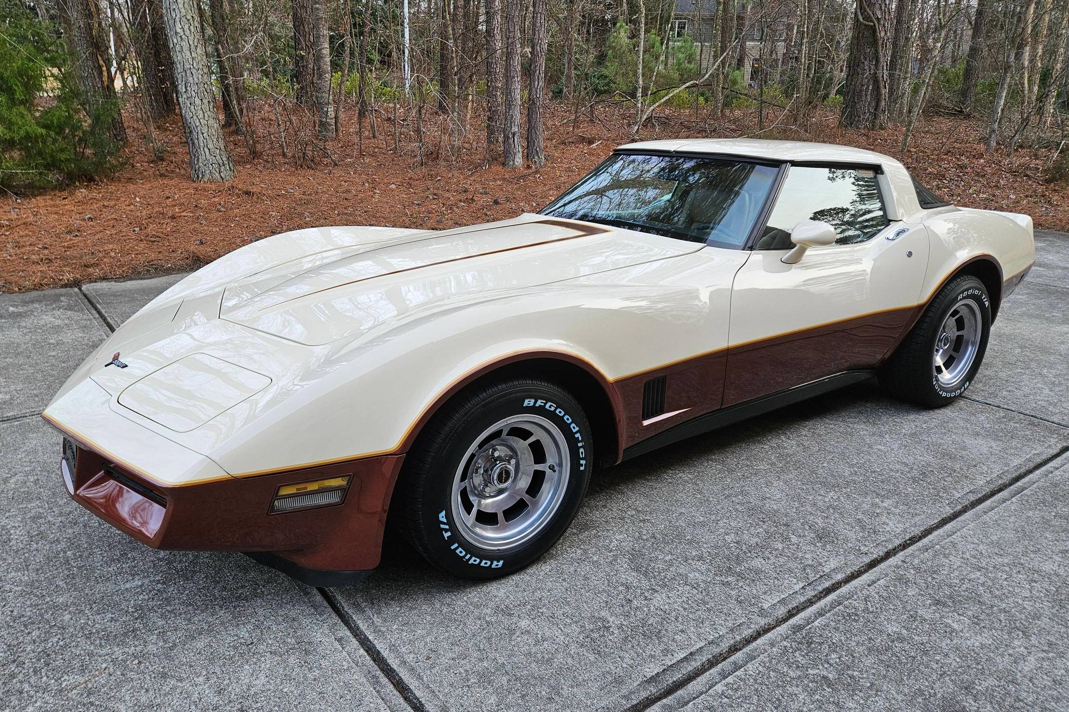 1981 Chevrolet C3 Corvette