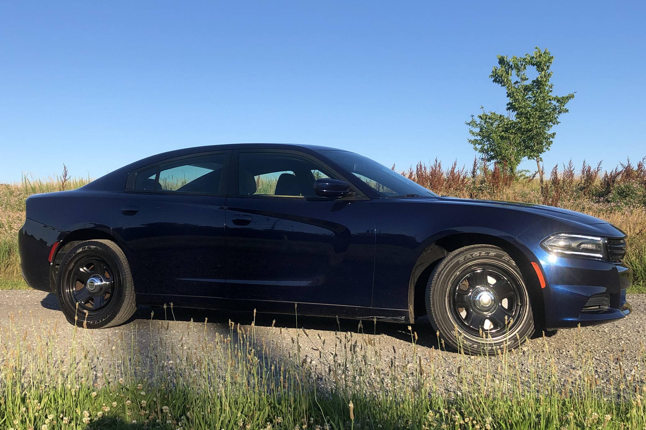 2015 Dodge Charger Pursuit auction Cars Bids