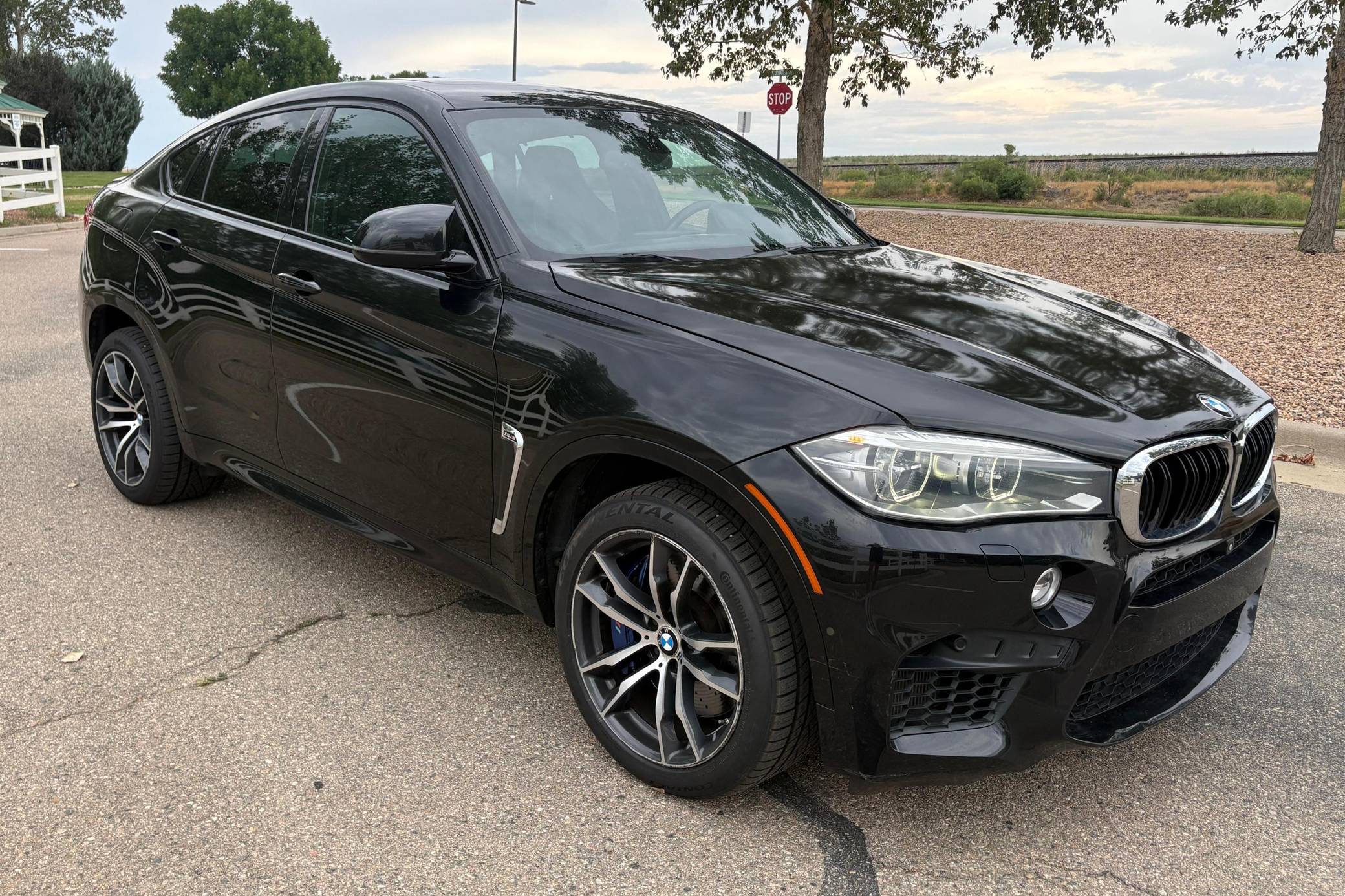 2015 BMW X6