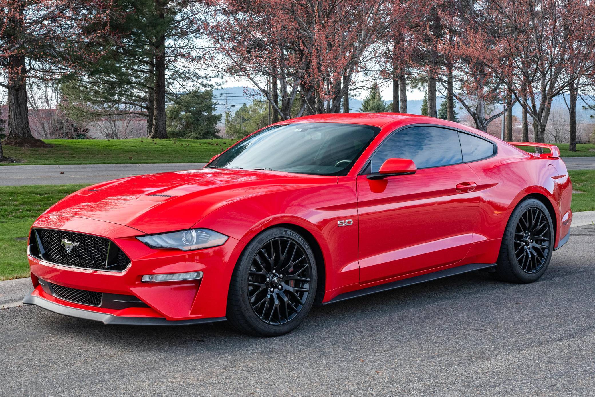 2019 Ford Mustang