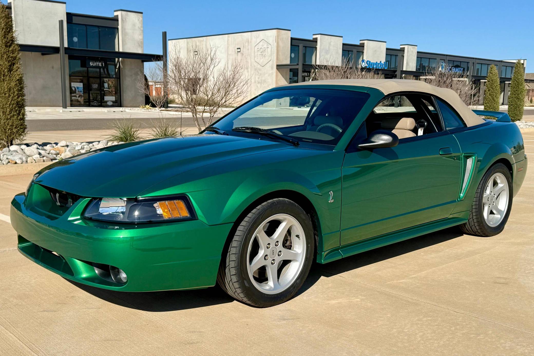 1999 Ford Mustang SVT Cobra Convertible VIN: 1FAFP46V2XF195676 for