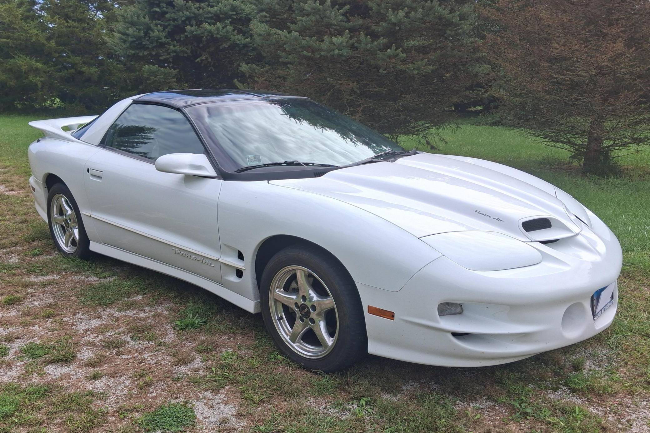 Lln 2001 Pontiac Firebird Trans Am WS6 VIN: 2G2FV22G312104438 for Sale ...