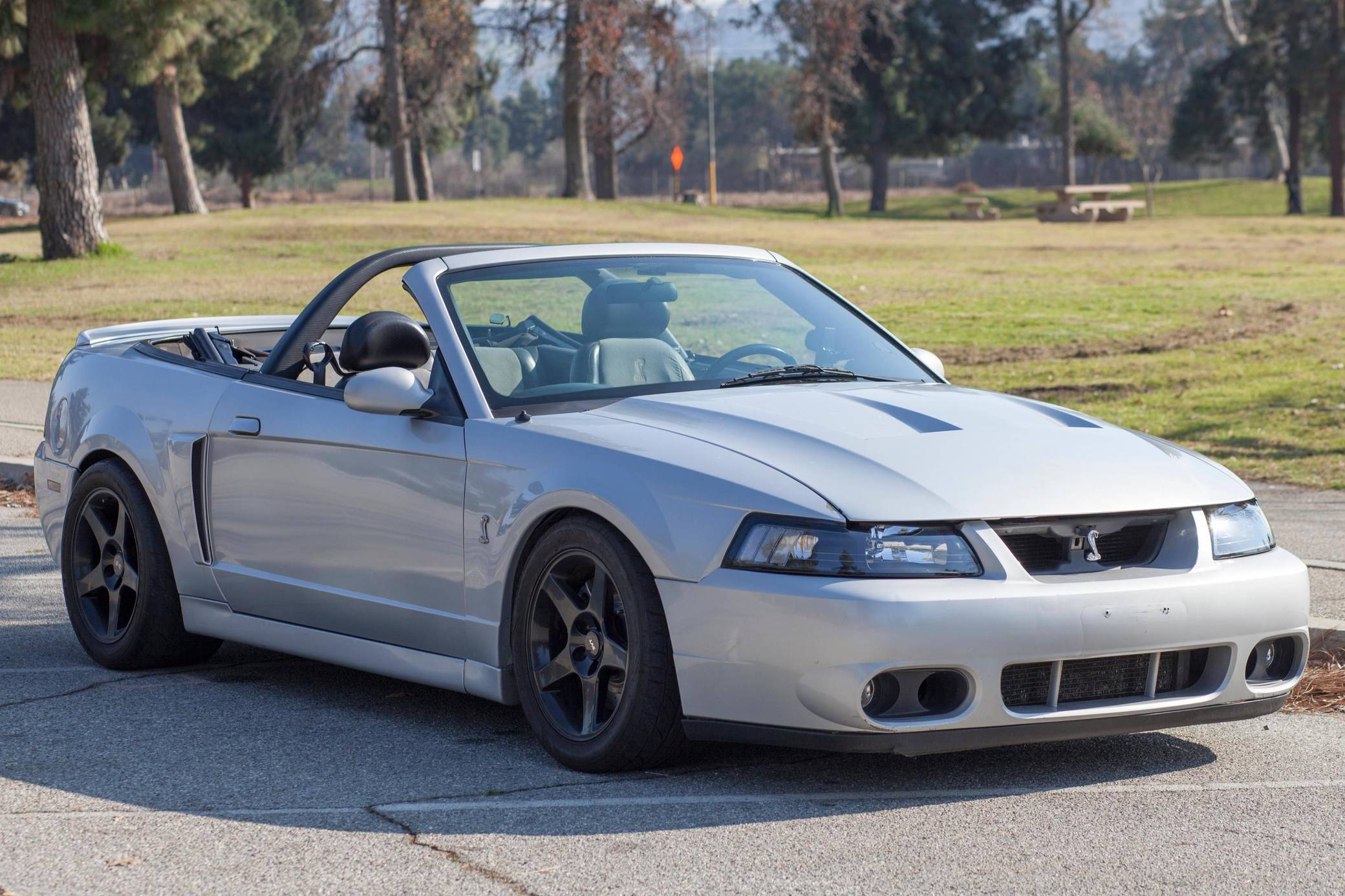 2003 Ford Mustang SVT Cobra Convertible VIN: 1FAFP49Y23F300815 for Sale ...