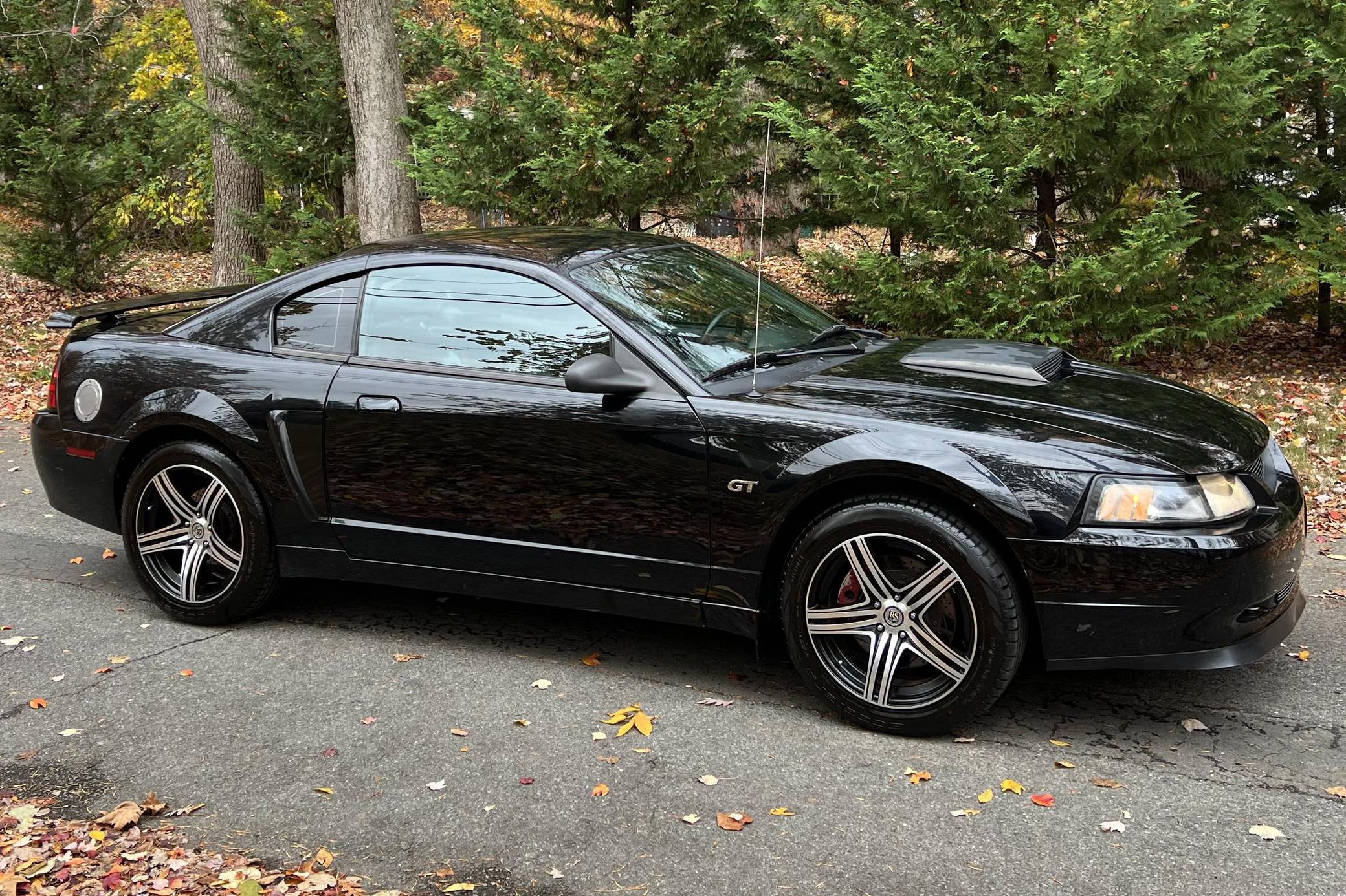 2001 Ford Mustang GT Bullitt Coupe for Sale - Cars & Bids