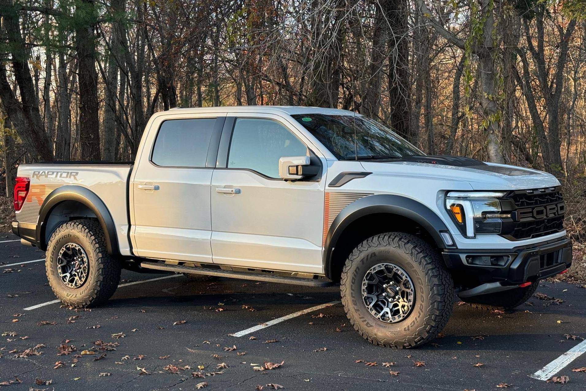 Partial Hood Fender and Mirror Kit | FORD F-150 RAPTOR R 2024