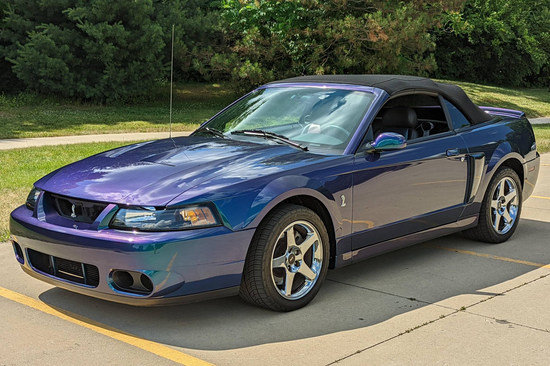 2004 ford mustang deals custom