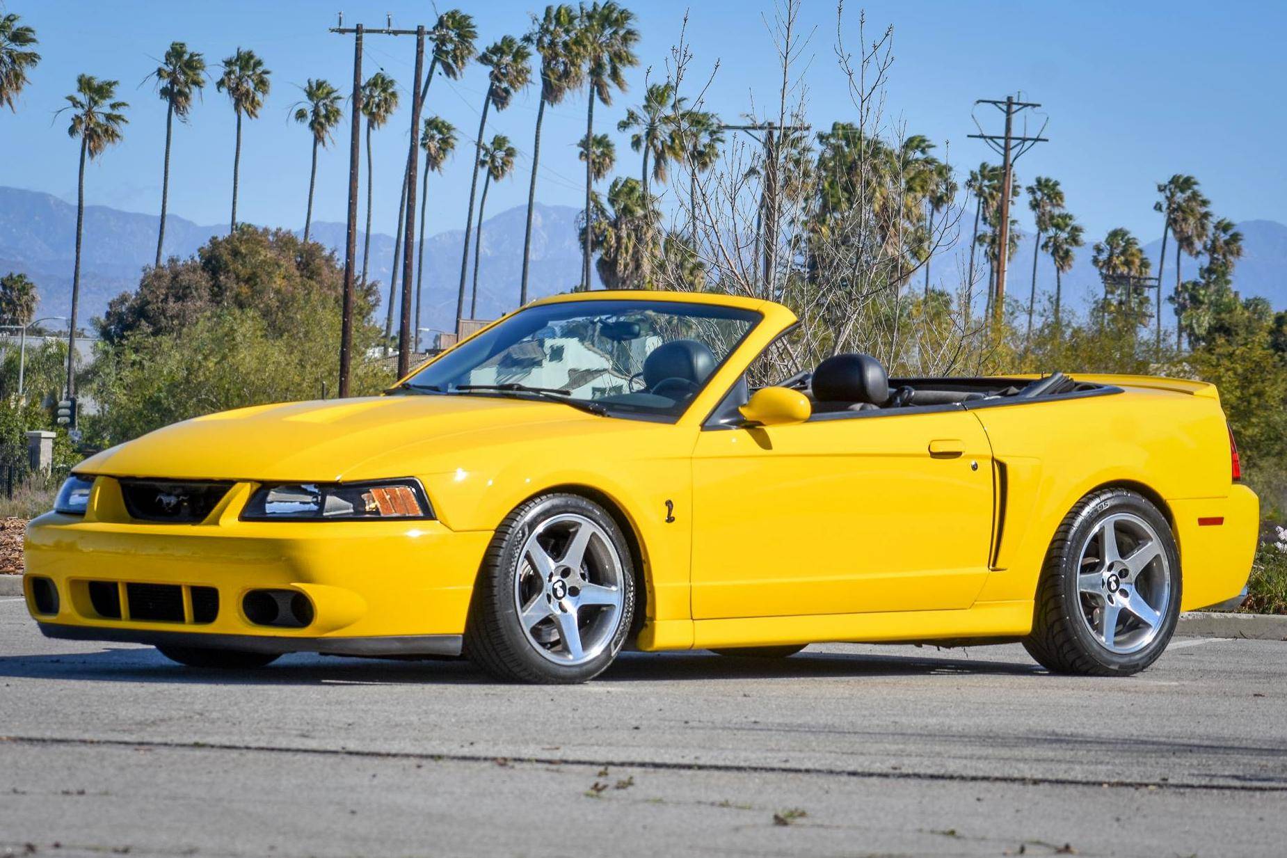 2004 Ford Mustang SVT Cobra Convertible