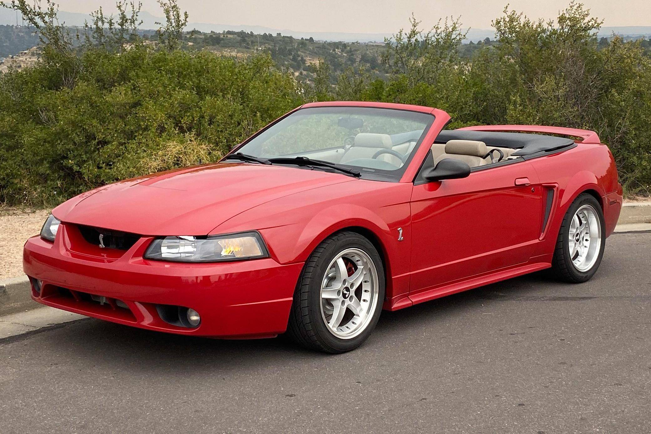 1999 Ford Mustang SVT Cobra Convertible