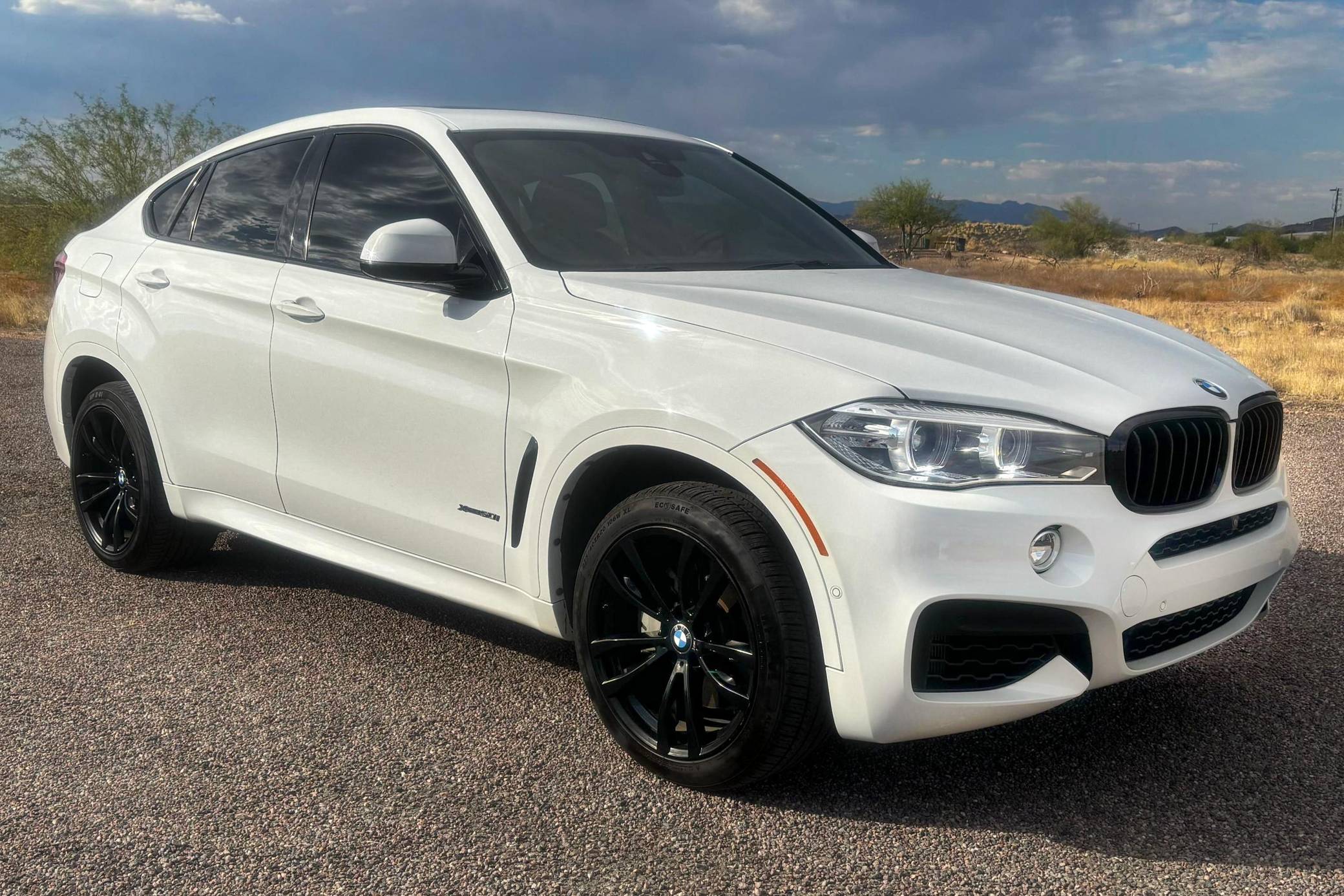 2019 BMW X6 xDrive50i