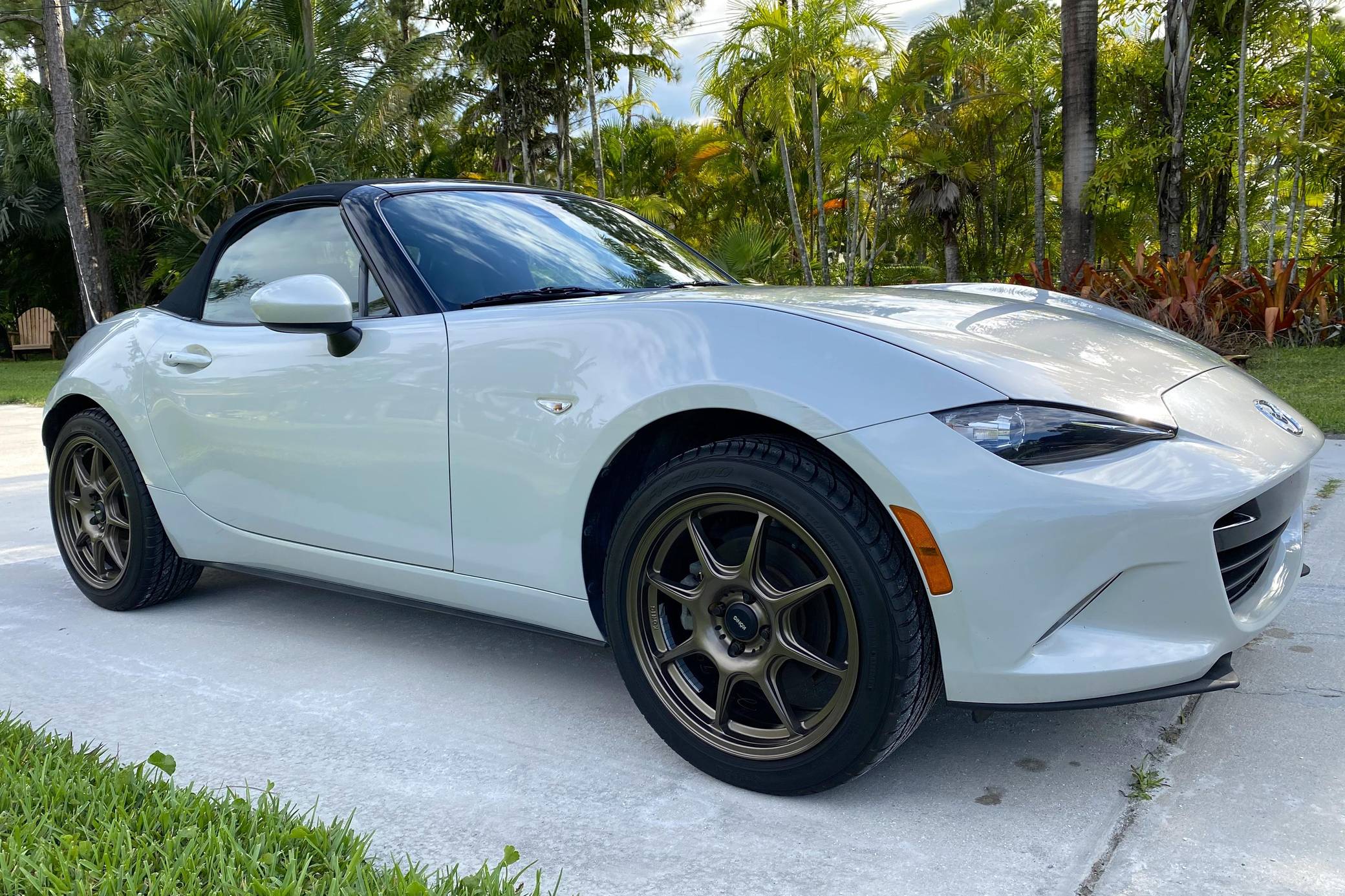 なっとー 臨床検査用染色液・試薬及び顕微鏡用グラス、替刃等に貢献する武藤化学