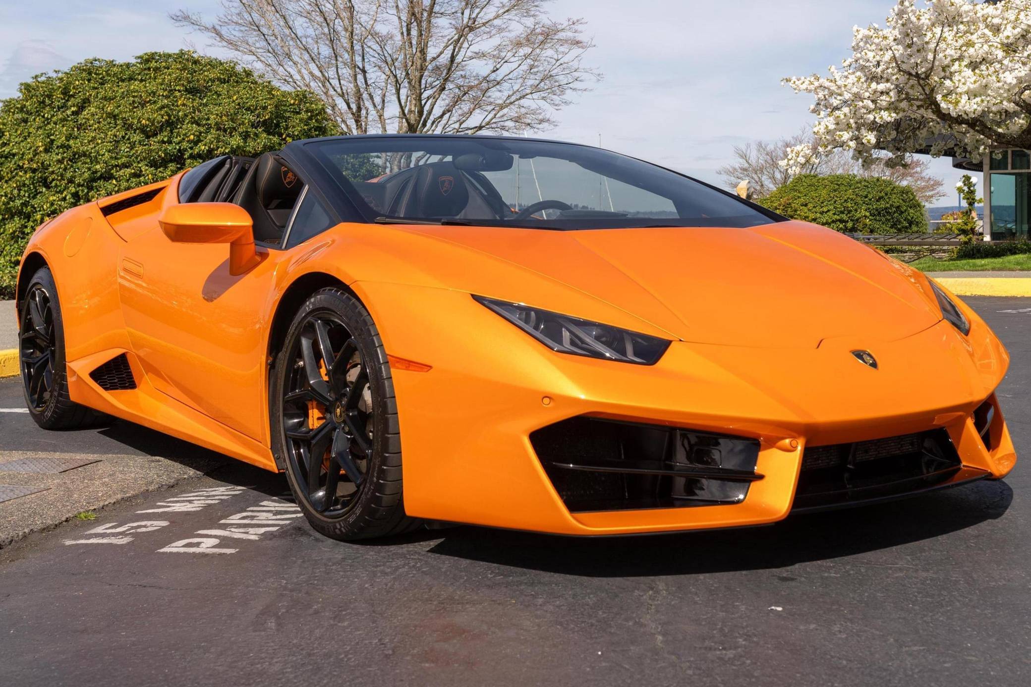 2019 Lamborghini Huracan LP 580-2 Spyder VIN: ZHWUR2ZF5KLA12215