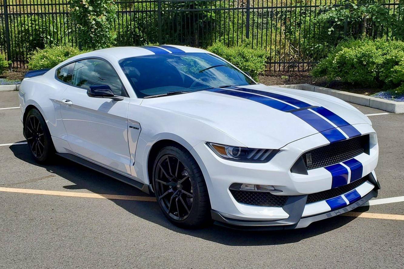 2015 Ford Mustang Shelby GT350 auction - Cars & Bids