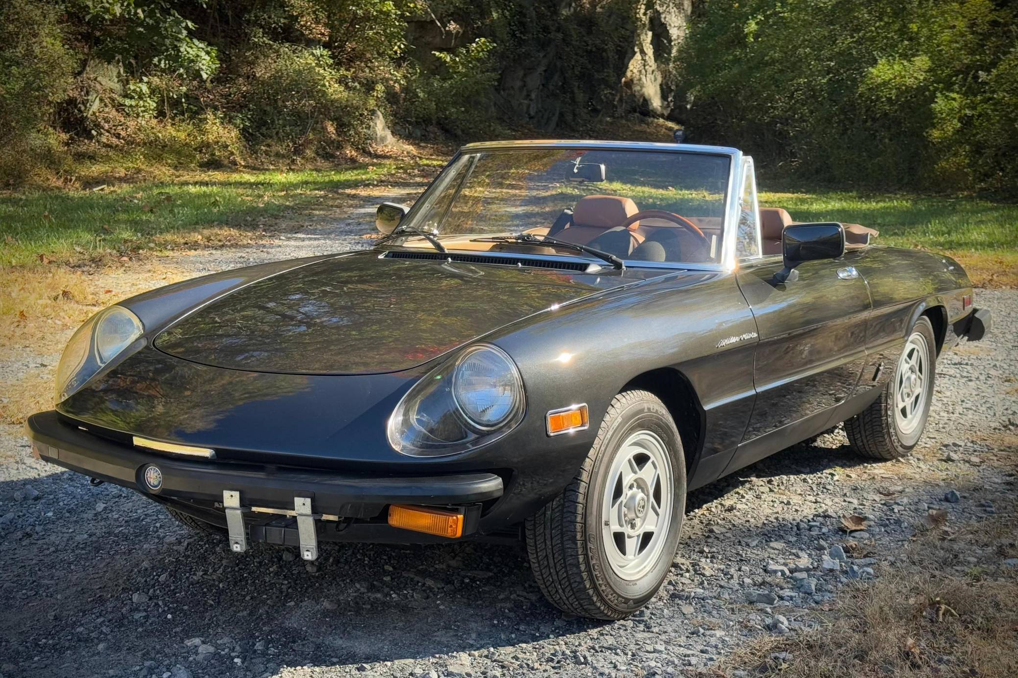 1982 Alfa Romeo Spider Veloce VIN: ZARBA5414C1014705 for Sale