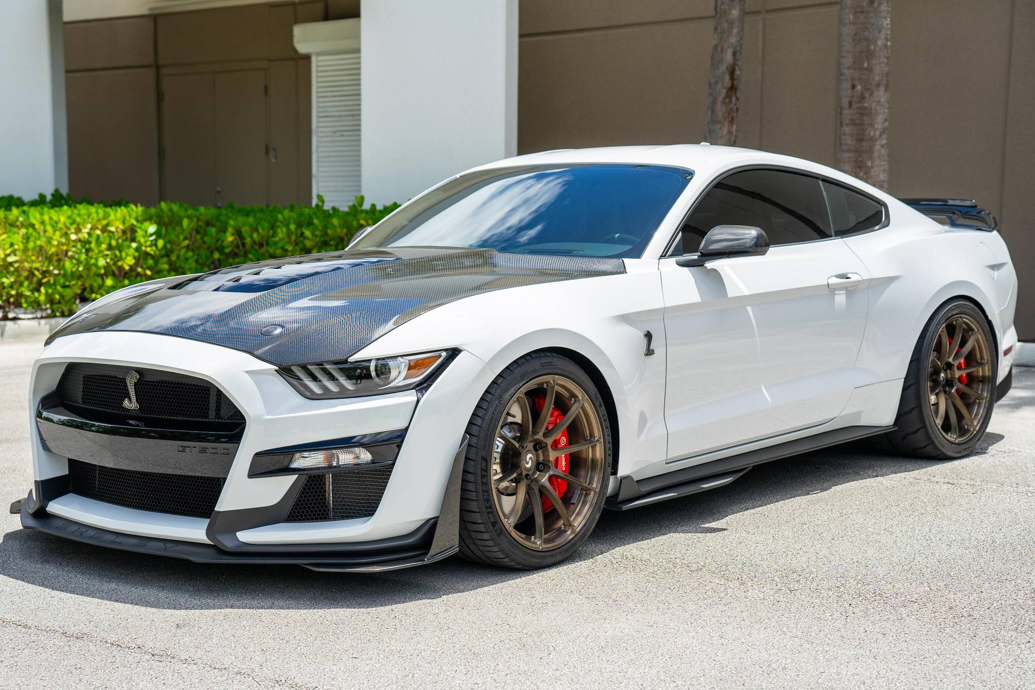 Trunk Lid Kit | FORD MUSTANG  SHELBY GT500 2020