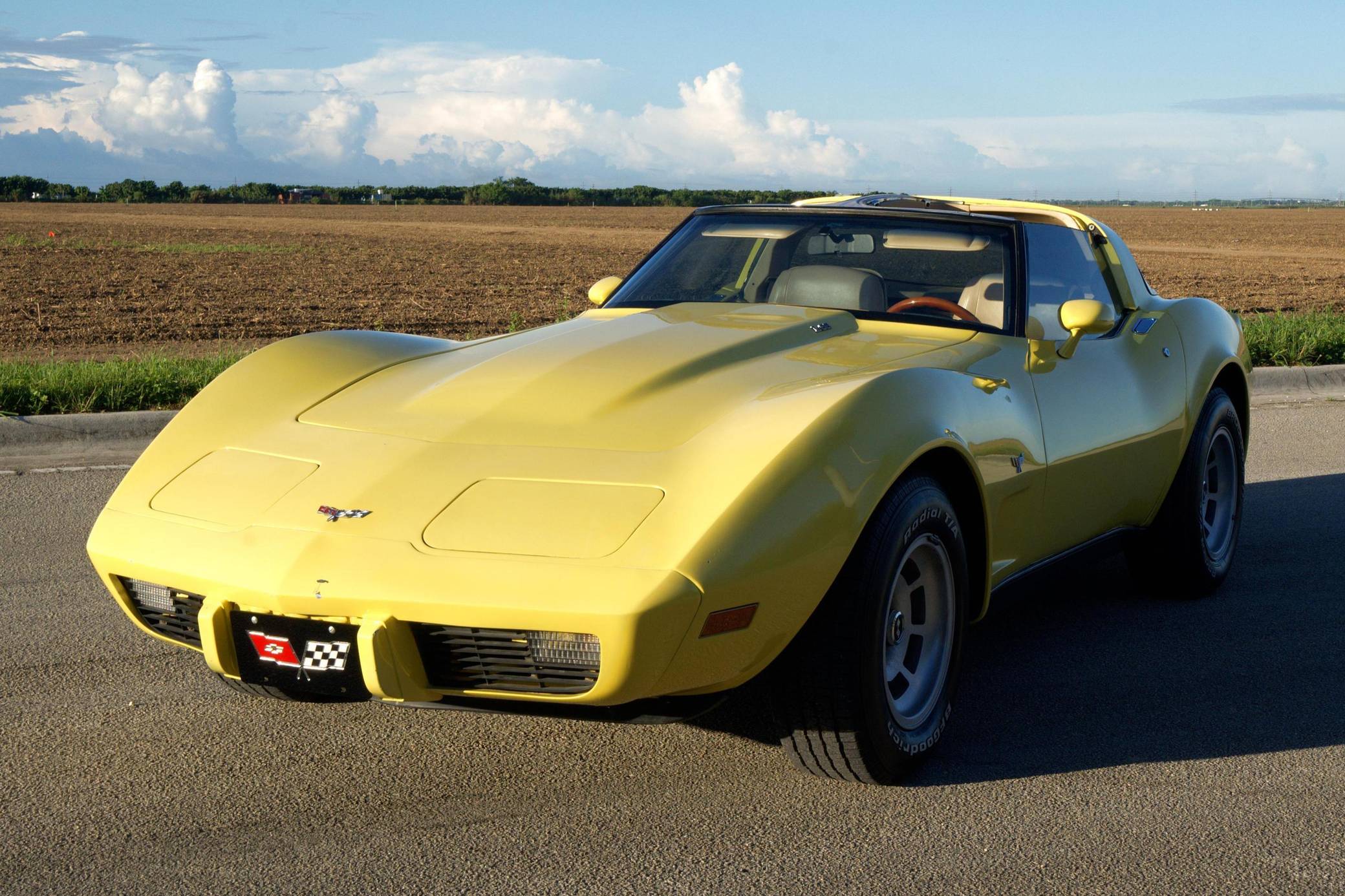 1979 Chevrolet C3 Corvette