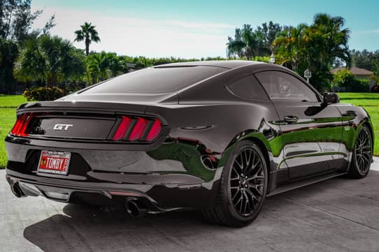 2016 Ford Mustang GT Coupe for Sale - Cars & Bids