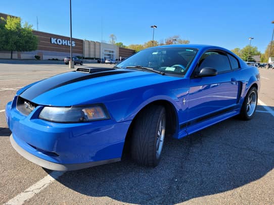 2003 Ford Mustang Mach 1 Coupe auction - Cars & Bids