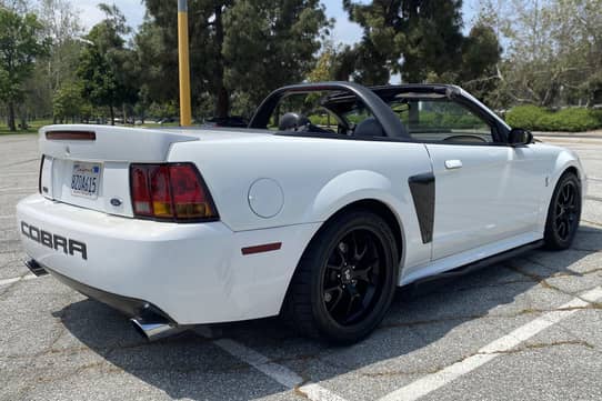 1999 Ford Mustang SVT Cobra Convertible for Sale - Cars & Bids
