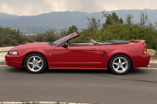 1999 Ford Mustang SVT Cobra Convertible auction - Cars & Bids