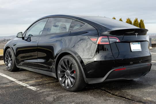 Tesla model y on sale black white interior