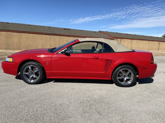 1999 Ford Mustang Svt Cobra Convertible For Sale - Cars & Bids