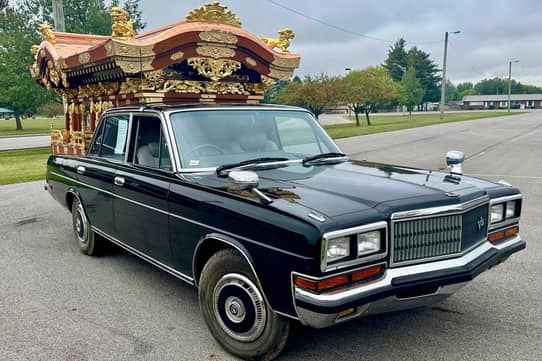 未認可霊柩車/Unlicensed Hearse 246)《未認可霊柩車/Unlicensed Hearse》[SNC] 茶R | 日本最大級