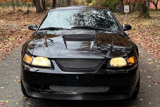 2001 Ford Mustang GT Bullitt Coupe for Sale - Cars & Bids