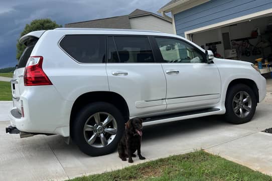 2014 Lexus GX, 460 | JTJBM7FX0E5084967 | Bid History | BidCars