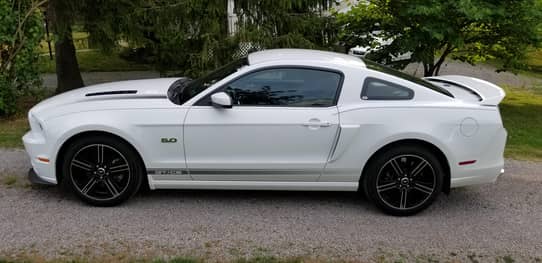 2014 Ford Mustang GT/CS Coupe auction - Cars & Bids