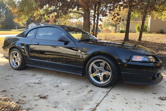 Used Ford Mustang SVT Cobra for Sale - Cars & Bids